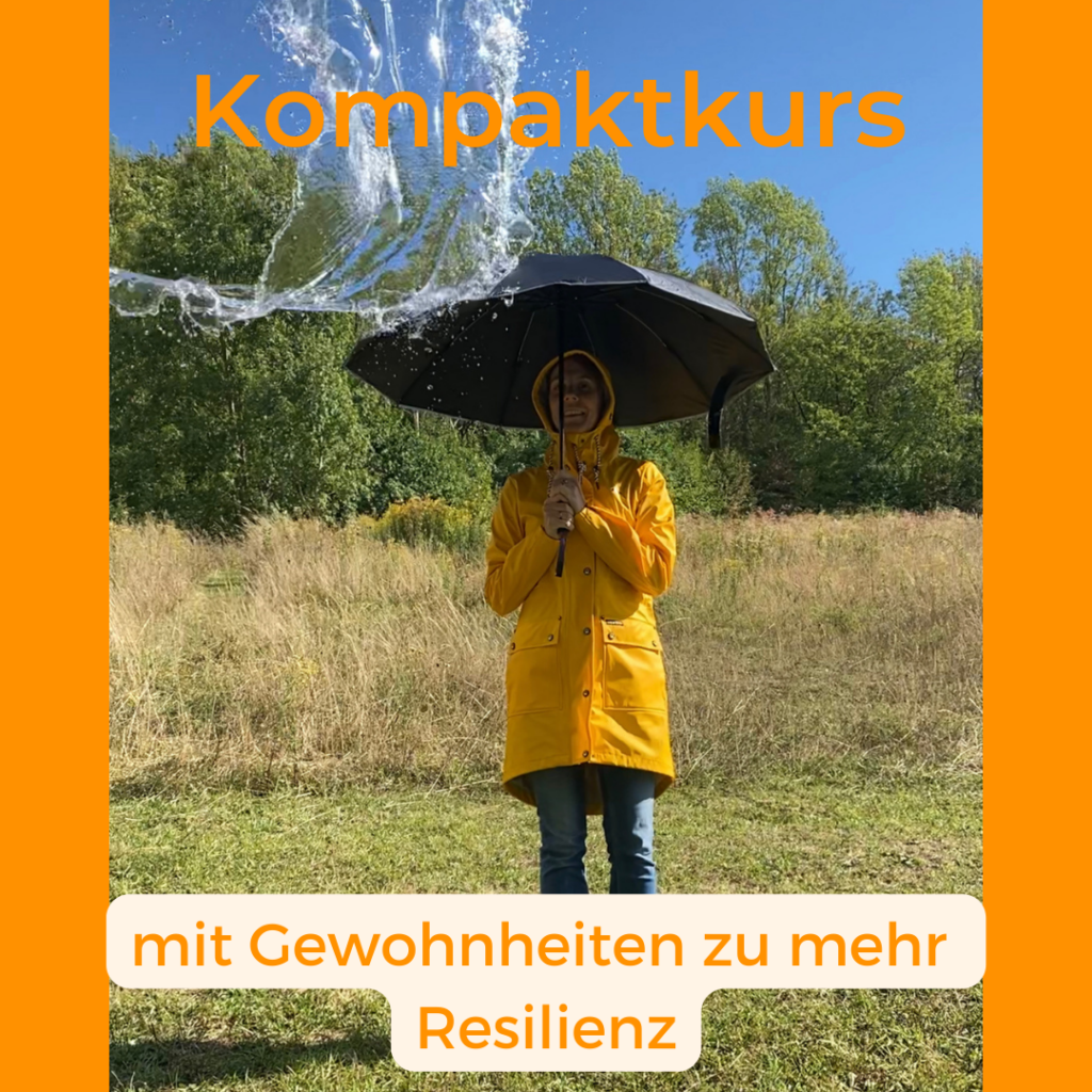 Kompaktkurs