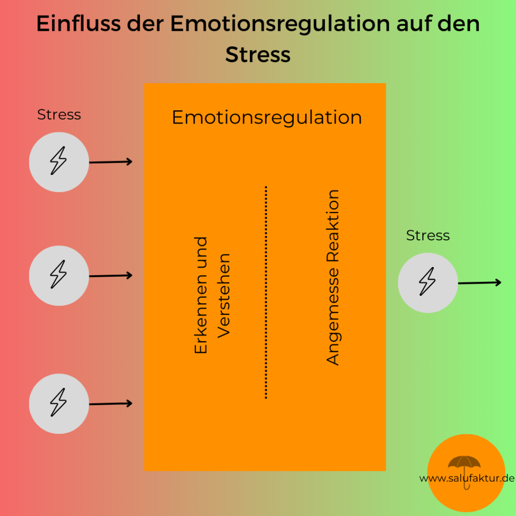 Emotionsregulation, Sressoren,Bewertung, Stress